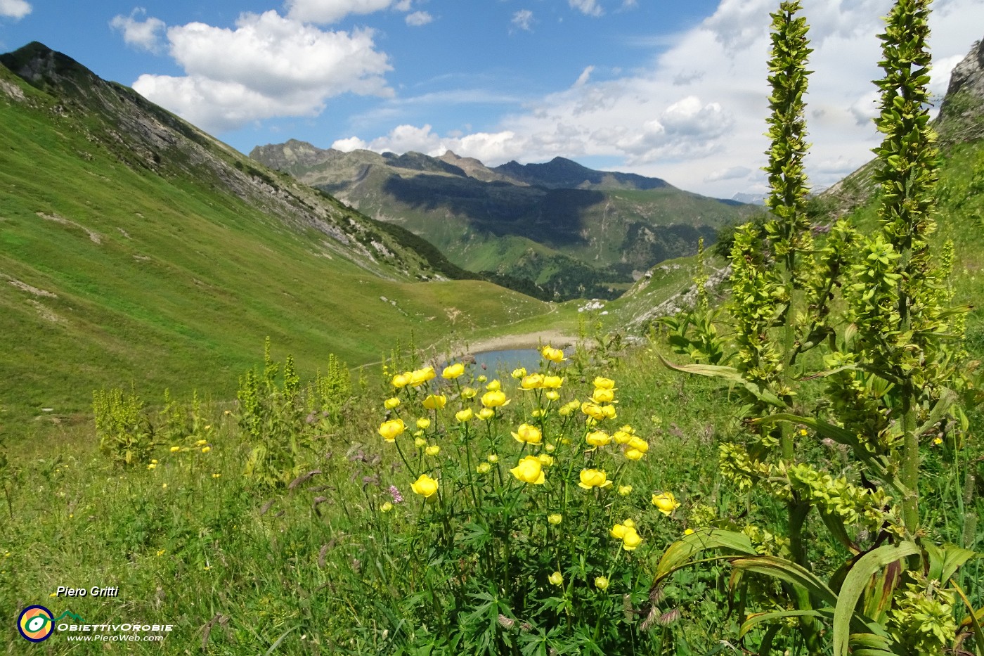 75 Botton d'oro con vista sul Lago Branchino.JPG